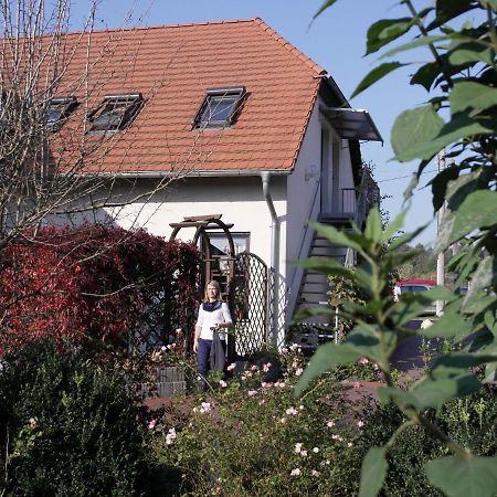 Apartment In Luckaitztal Gossda With Parking Space エクステリア 写真